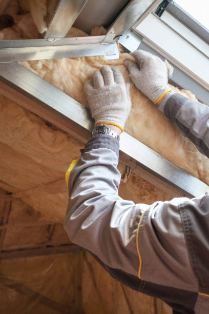 Best Specialized Insulation Services in Dulles Town Center, VA