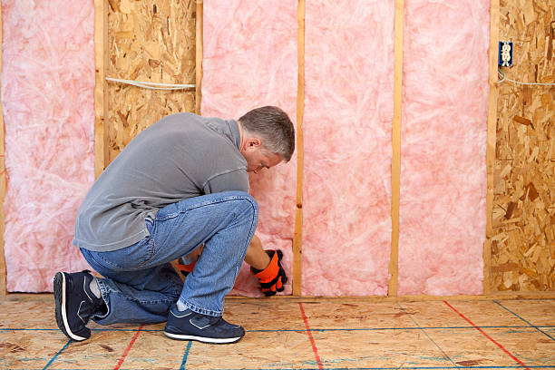 Best Fiberglass Insulation in Dulles Town Center, VA