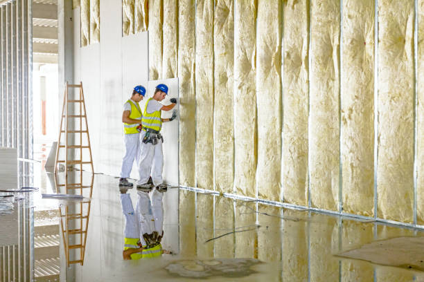 Best Eco-Friendly Insulation in Dulles Town Center, VA